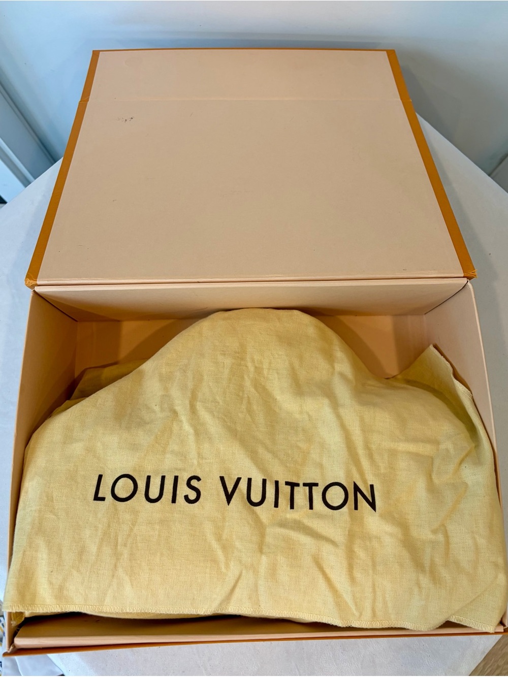 Louis Vuitton 2013 LTD Damier Plush Cube Speedy EastWest, yellow/silver, EUC🦄 - Picture 10 of 17